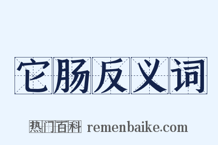 它肠反义词是什么意思的图片